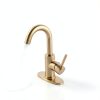 Bar Faucet Jodulos Brushed Gold Low Arc Single Lever JU1100-BG-4