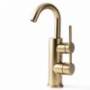 Bar Faucet Jodulos Brushed Gold Low Arc Single Lever JU1100-BG-3